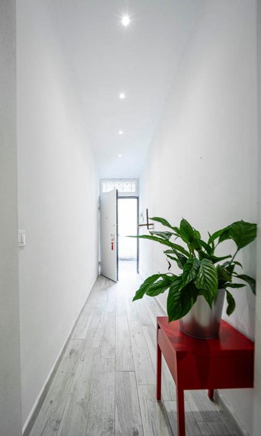 Puccinotti House Apartment Florenţa Exterior foto